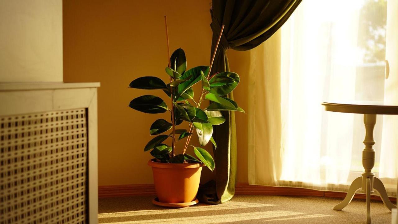 Trikos Boutique Hotel Κωνσταντινούπολη Εξωτερικό φωτογραφία